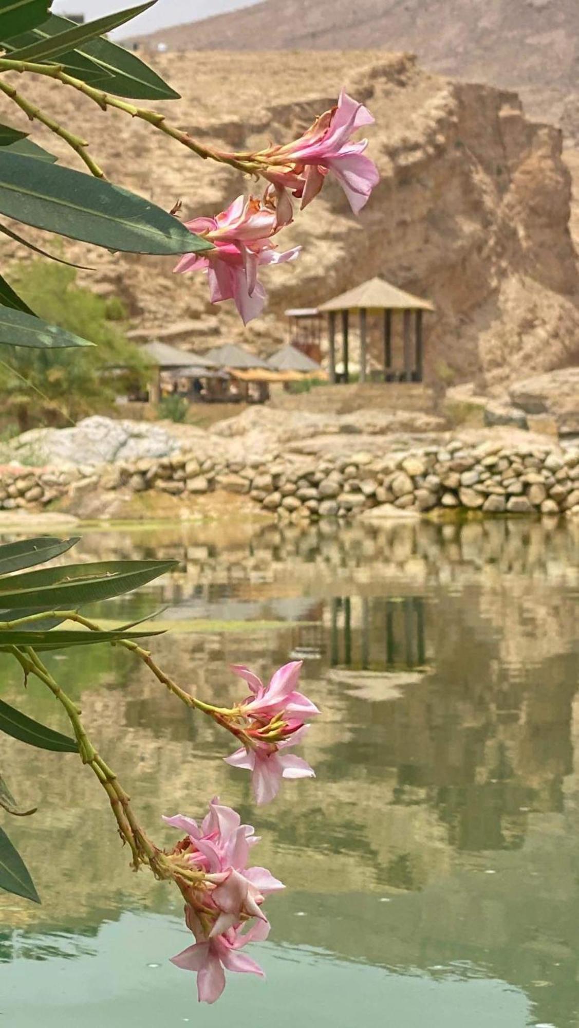 Wadi Bani Khalid - Al Joud
